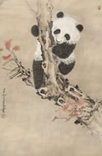 王生勇-熊猫
