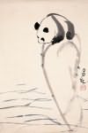 吕林-熊猫