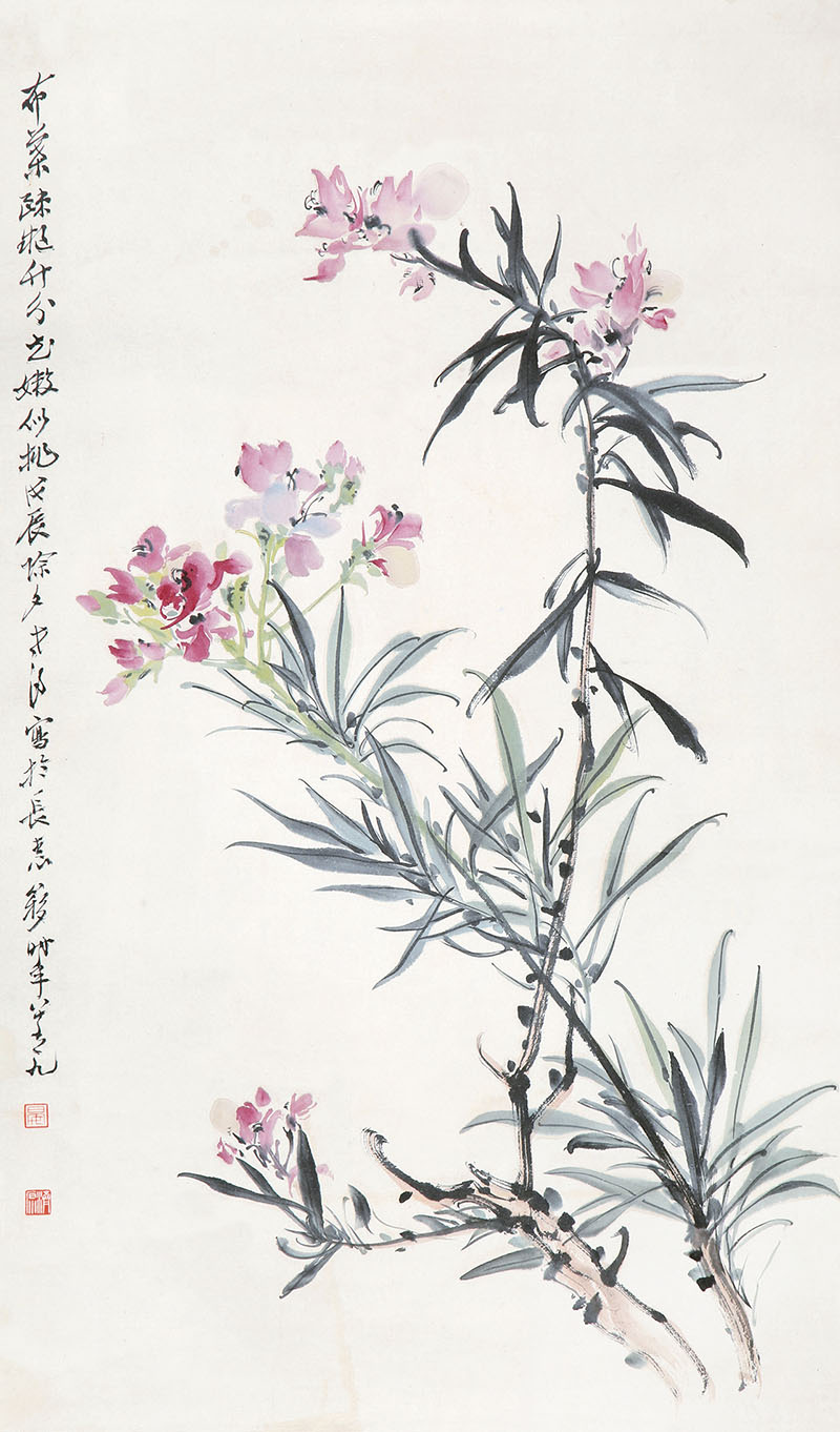 夹竹桃