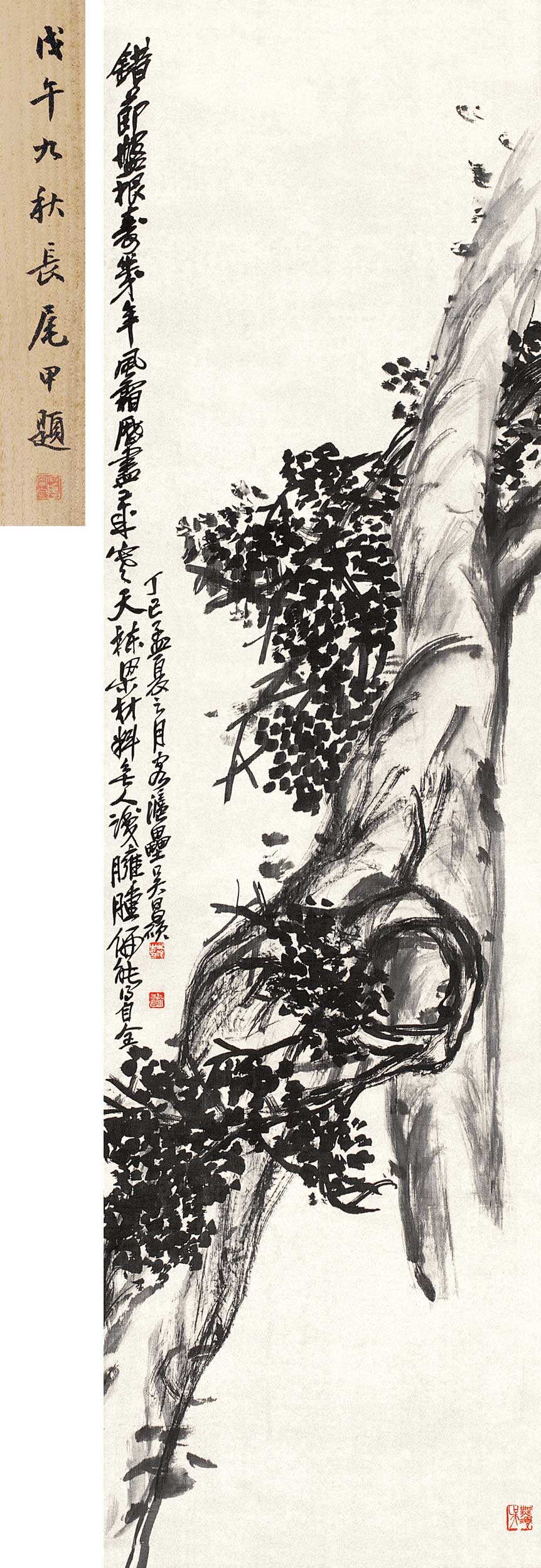 柏树图