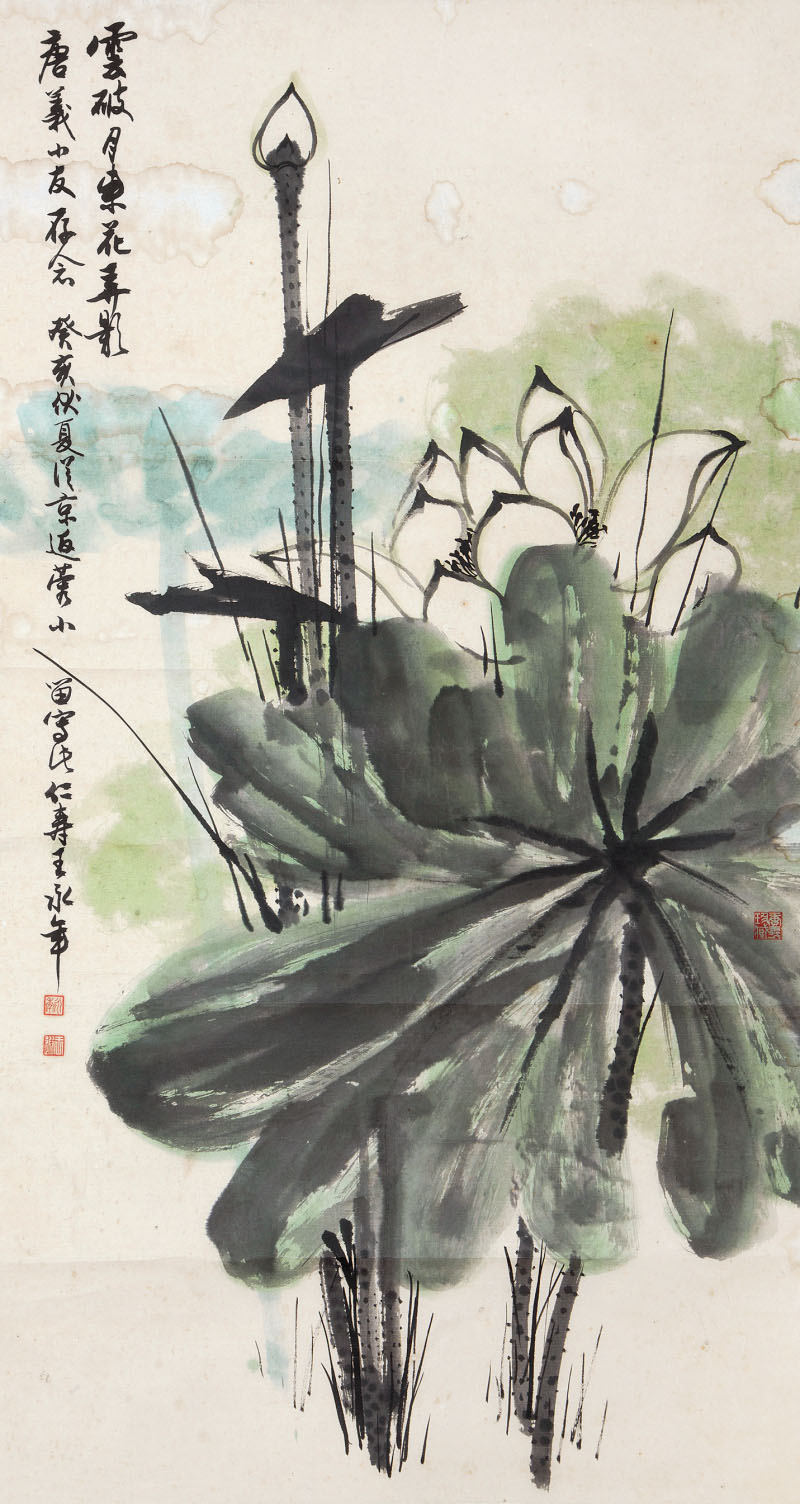 0510 王永年 荷花